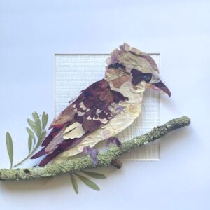 Emily Chibwana's pressed flower kookaburra titled "King of the Bush"